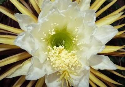 简单的日语句子(热门60句)