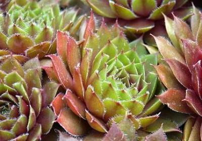 简单常用的英语句子(推荐80句)