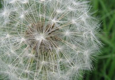 积极生活态度的句子(通用60句)