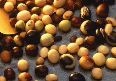 穷的句子(精选50句)