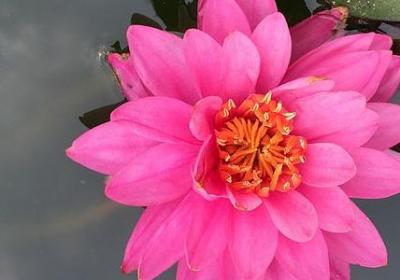 笑一笑的句子(通用40句)