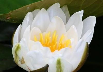 笑着哭最痛的经典句子(实用40句)