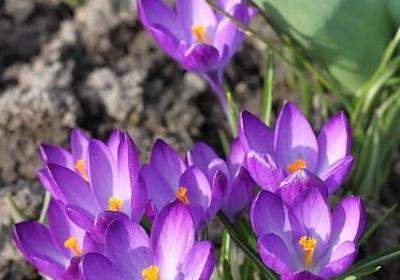 童年时光的句子(优选40句)