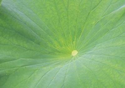 积极阳光心态的句子(69句)