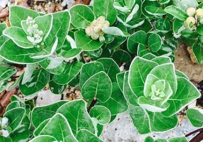 积极进取的句子(精选60句)