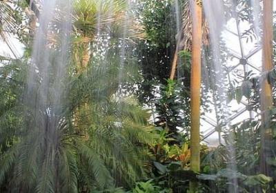 童年美好回忆的句子(40句) 童年美好回忆的句子(40句)