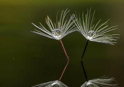 简单粗暴的句子(实用50句) 简单粗暴的句子(实用50句)