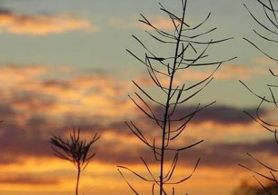 穷的幽默句子(共15句) 穷的幽默句子(共15句)