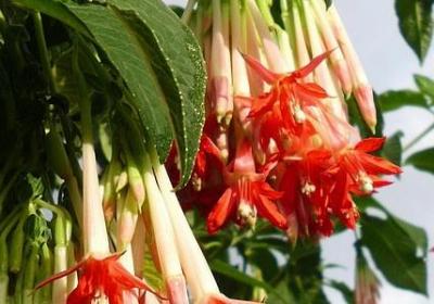 穷人和富人的经典句子(推荐23句) 穷人和富人的经典句子(推荐23句)