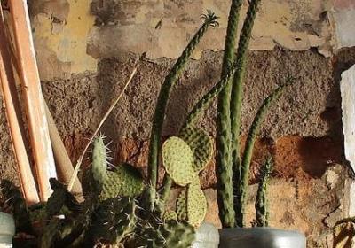 称赞拍照好的句子(精选50句) 称赞拍照好的句子(精选50句)