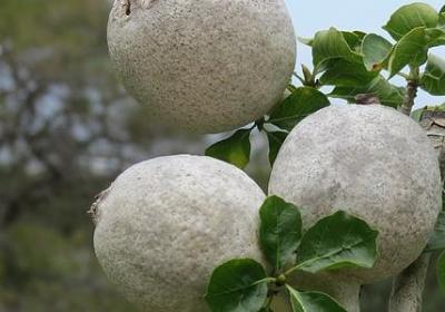 童年开心的句子(汇总50句) 童年开心的句子(汇总50句)