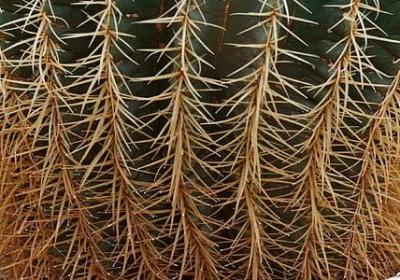 笑自己太傻的句子(实用20句) 笑自己太傻的句子(实用20句)