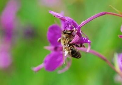 简单平淡的幸福的句子(精选40句) 简单平淡的幸福的句子(精选40句)