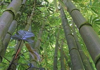 精神支柱的句子(通用60句) 精神支柱的句子(通用60句)