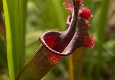 简短的劝节哀的句子(共90句)