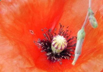 积极努力的句子(推荐50句)