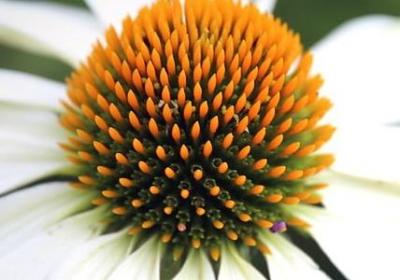 等待的痛苦心情的句子(实用40句)