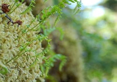 突然感觉好陌生的句子(69句)