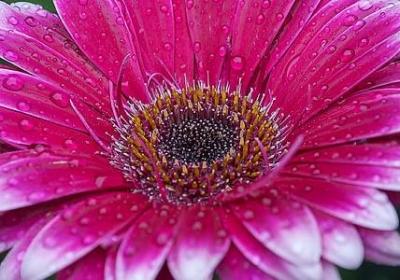 简短走心的句子(合集50句)