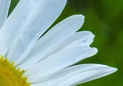 积极向上的唯美句子(推荐40句)