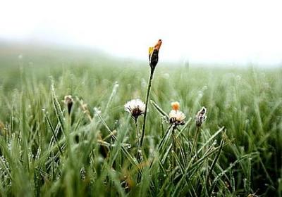 等待有缘人的句子简短(共50句)