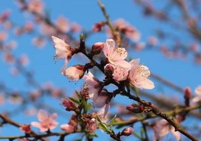 简单的爱情句子(必备81句)