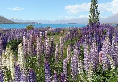 筷子的哲理句子(共50句)