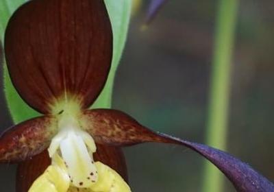 积极工作的句子(通用69句)