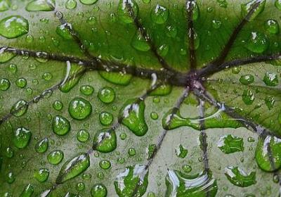 精彩生活的句子(汇总60句)