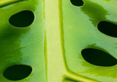 积极对待生活的句子(实用50句)