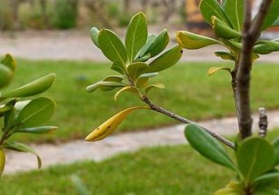 等人的那种心情的句子(必备40句)