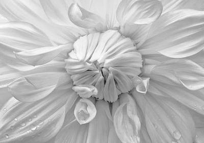 精彩瞬间的句子(精选60句)