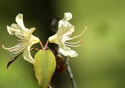 积极参与活动的句子(必备50句)