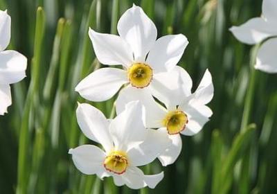 简短正能量的句子(推荐50句)