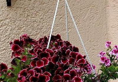 类似于好事多磨的句子(汇总10句)