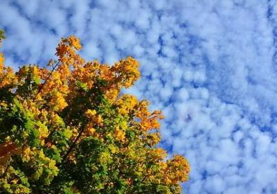 简短的爱情句子(优选60句)