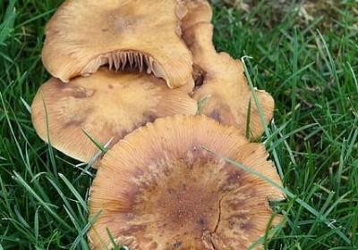 简短有深意的英文句子(热门96句)