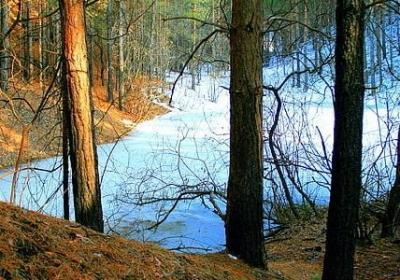 类似等风也等你的句子(实用60句)