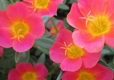 糊涂的句子(必备45句)