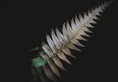 积极上进的句子(汇总60句)