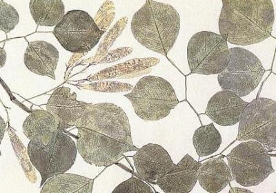 称赞人学识渊博的句子(推荐40句)