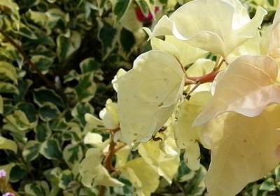 精辟犀利的经典句子(优选40句)