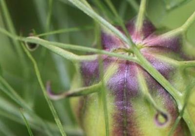 精辟到噎死人的句子(通用70句) 精辟到噎死人的句子(通用70句)