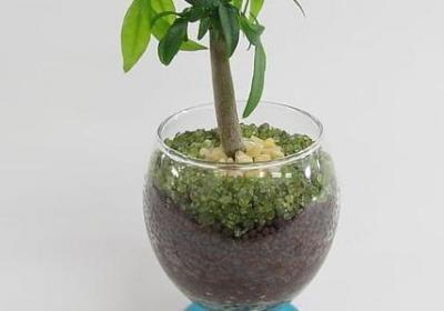 类似修合无人见的句子(推荐40句) 类似修合无人见的句子(推荐40句)