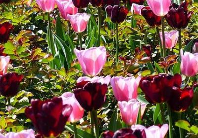 给自己一个微笑的句子(汇总60句)