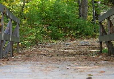 红红的苹果像什么句子(共70句)