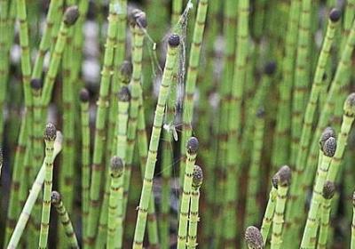 经典的英文句子(热门51句)