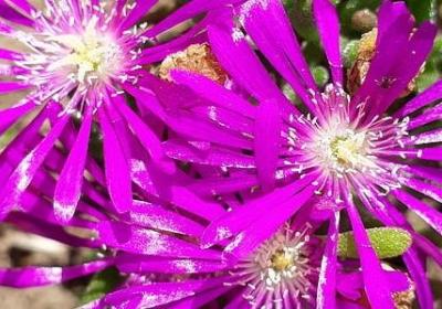 纪念鲁迅的句子(共69句)