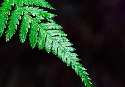 累了放松的经典句子(优选40句)