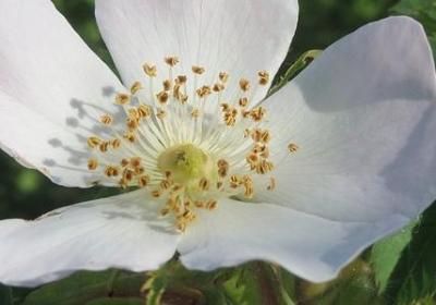 缓解压力的幽默句子(必备50句)